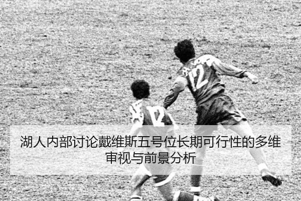 湖人内部讨论戴维斯五号位长期可行性的多维审视与前景分析